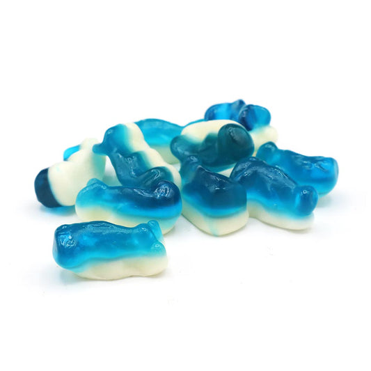 Mini Dolphins image 0