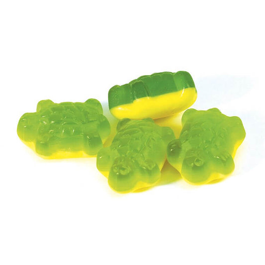 Terrific Turtles image 0